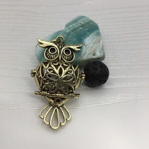 🦉Owl Aromatherapy Brass tone Locket.  Lava stone included.